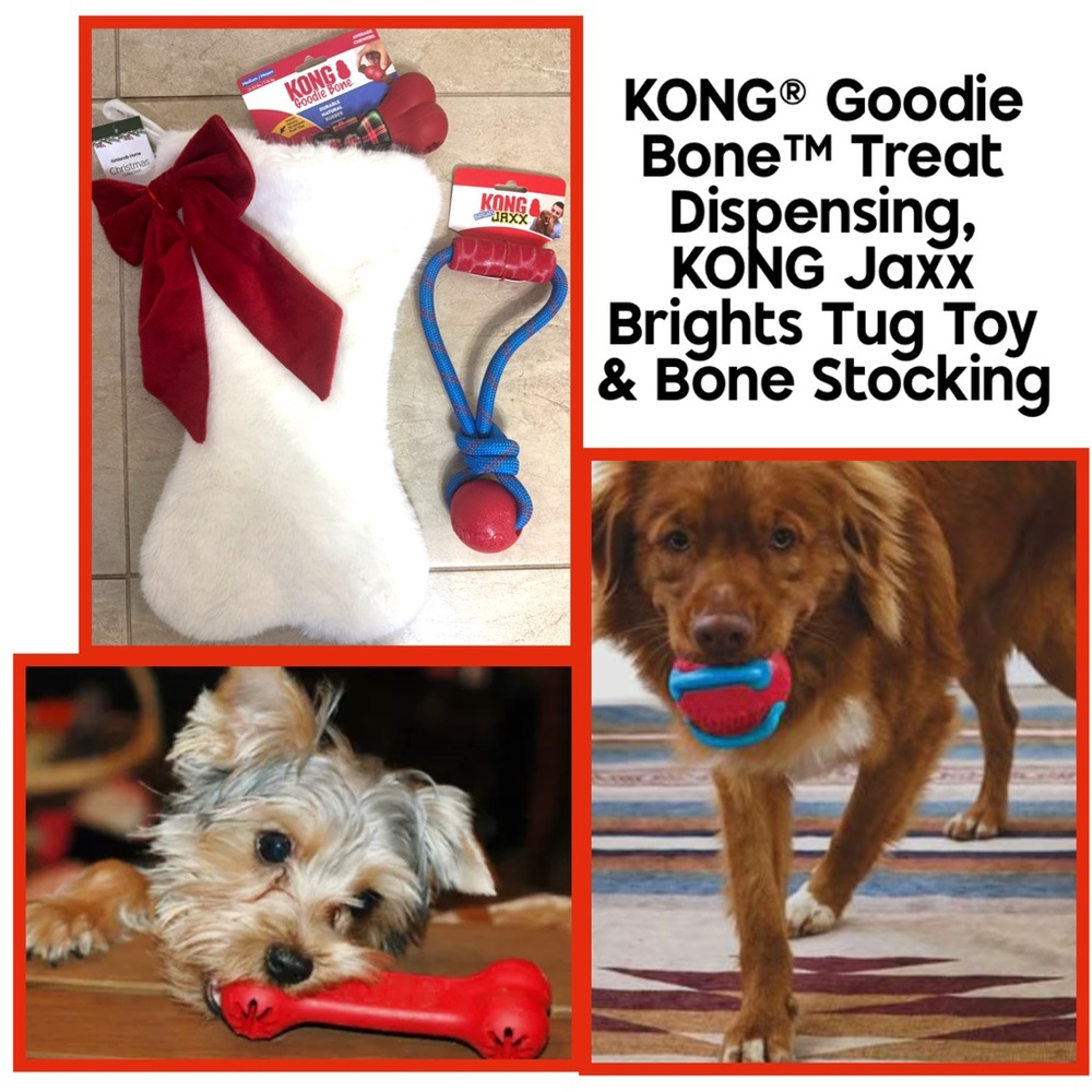 KONG® Goodie Bone™ Treat Dispensing, KONG Jaxx Brights Tug Toy & Bone Stocking